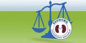 Kezelt adatok - Haemobil CRM